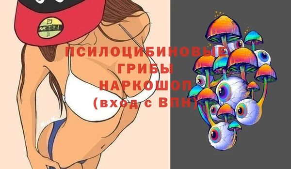 гашик Лиски