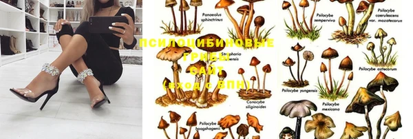 мяу мяу кристалл Липки